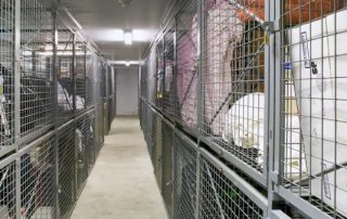 Industrial Protection | Industrial Safety Fencing | Galvanized rustproof industrial safety fencing, CE certified, modular installation, 10-year warranty, impact resistant, suitable for factory warehouse machine guard and perimeter protection