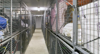 Storage Locker | Mesh Locker Panel | Galvanized steel mesh locker panel, ventilated design, anti-corrosion, modular assembly, suitable for industrial storage locker applications