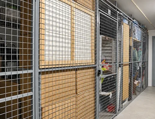 OSHA Wants Cylinders Locked and the Room Ventilated: Where a Lockable Wire Mesh Storage Cage Fits